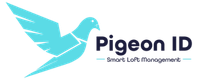 Pigeon ID